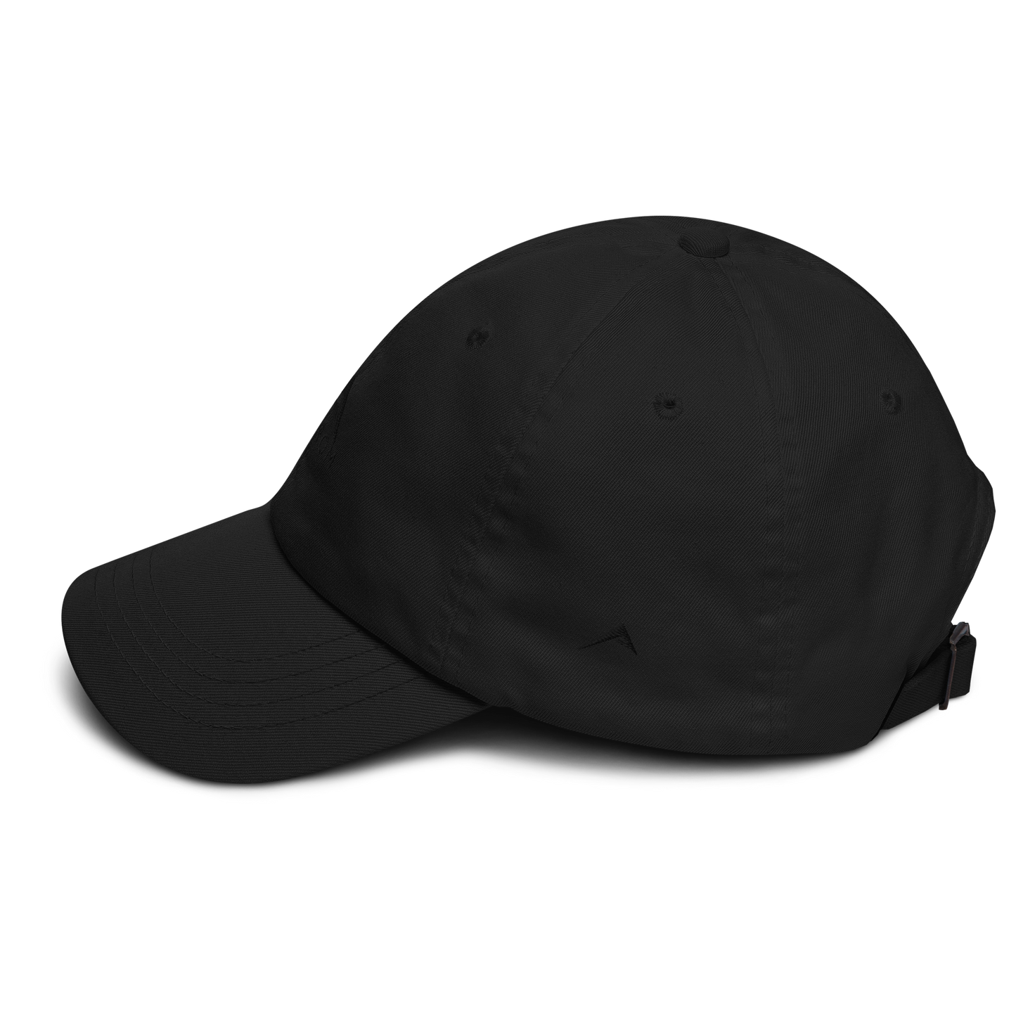 Classic curved hat (Black/Black)