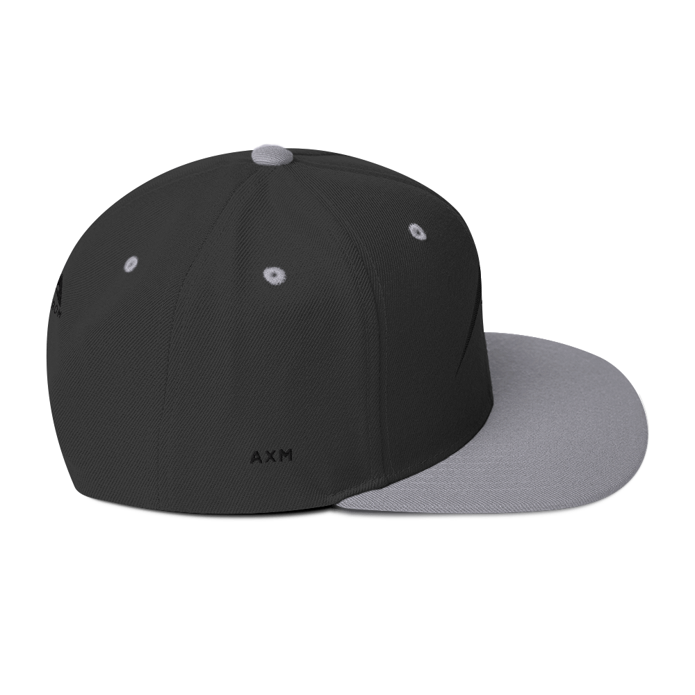 Original Snapback (Black/Black+Silver)