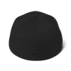 Flexfit Cap (Black/Black)