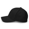 Flexfit Cap (Black/Black)