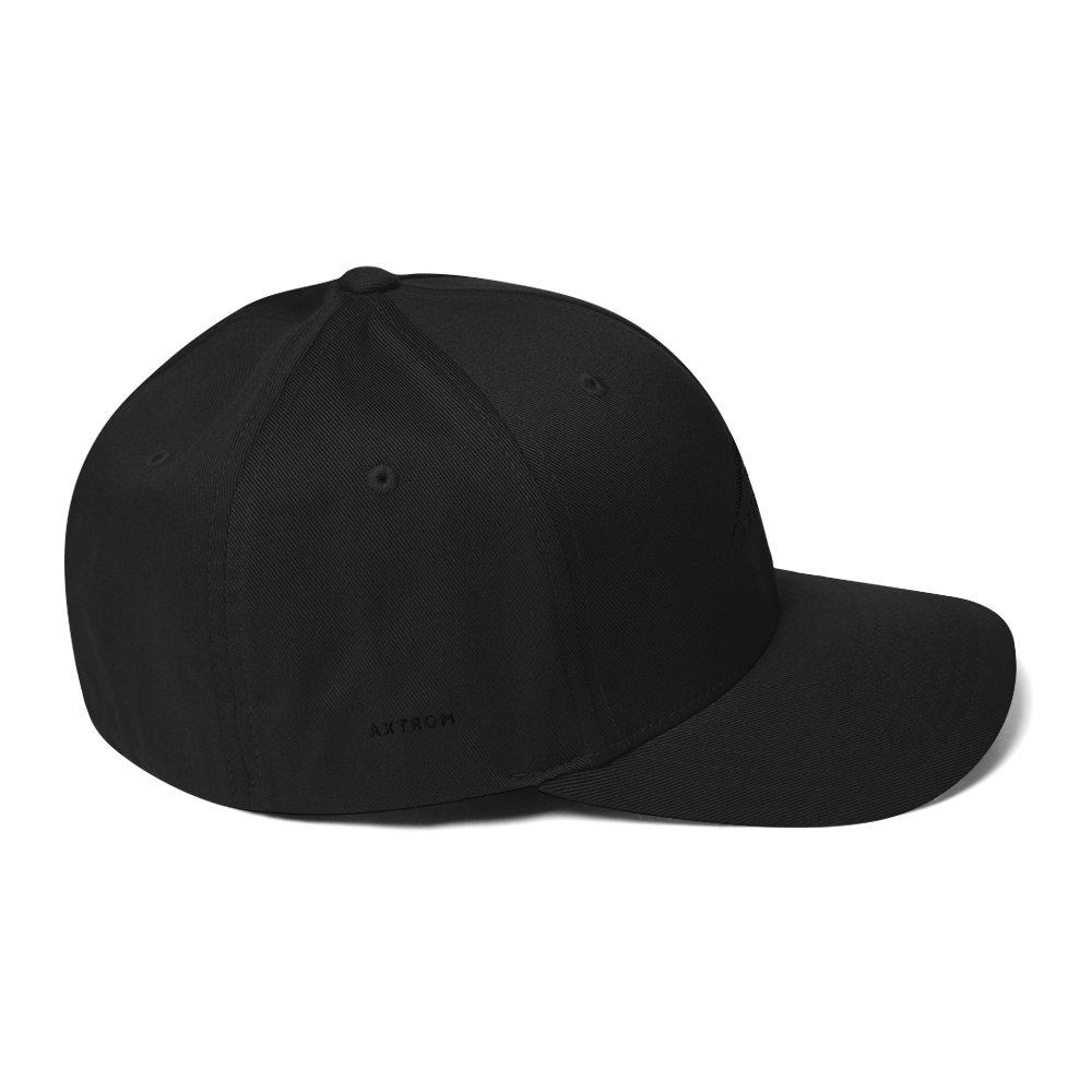 Flexfit Cap (Black/Black)