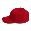 Flexfit Cap (Black/Red)